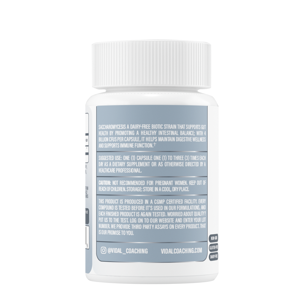 Saccharomyces